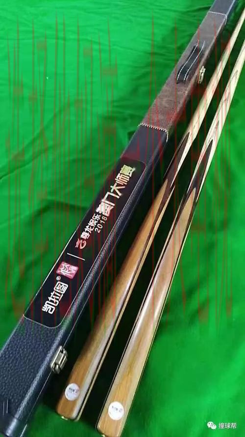 探索尊龙体育登录入口的精彩世界