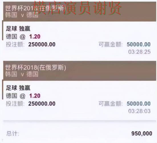 环球体育世界杯投注网站入口与赔率分析